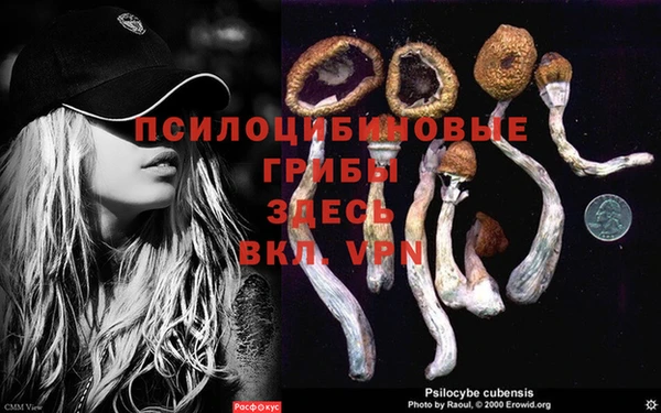 MDMA Premium VHQ Богородск