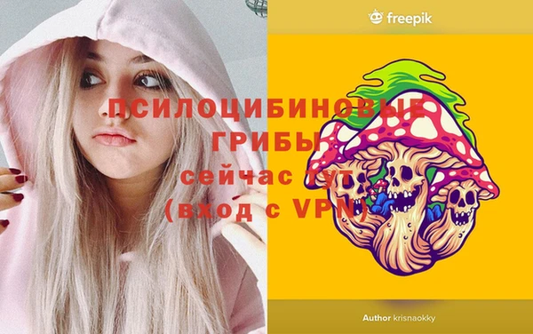 первитин Богданович