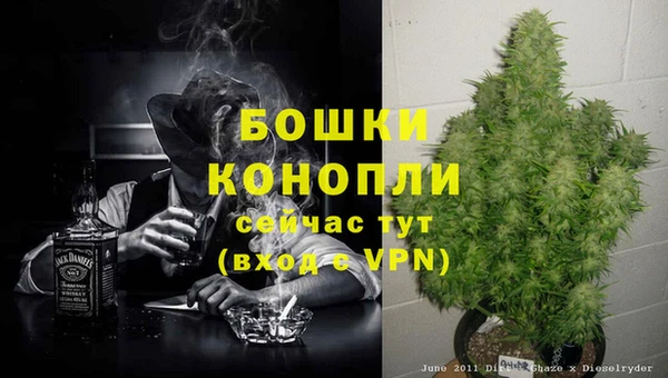 ешки Богородицк