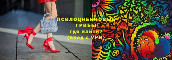 первитин Богданович